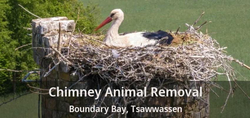 Chimney Animal Removal Boundary Bay, Tsawwassen - BC