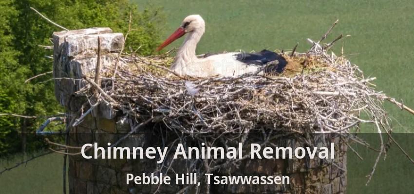 Chimney Animal Removal Pebble Hill, Tsawwassen - BC