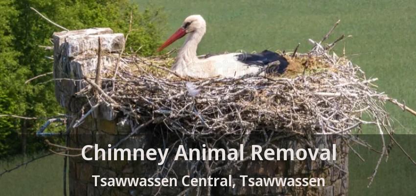 Chimney Animal Removal Tsawwassen Central, Tsawwassen - BC