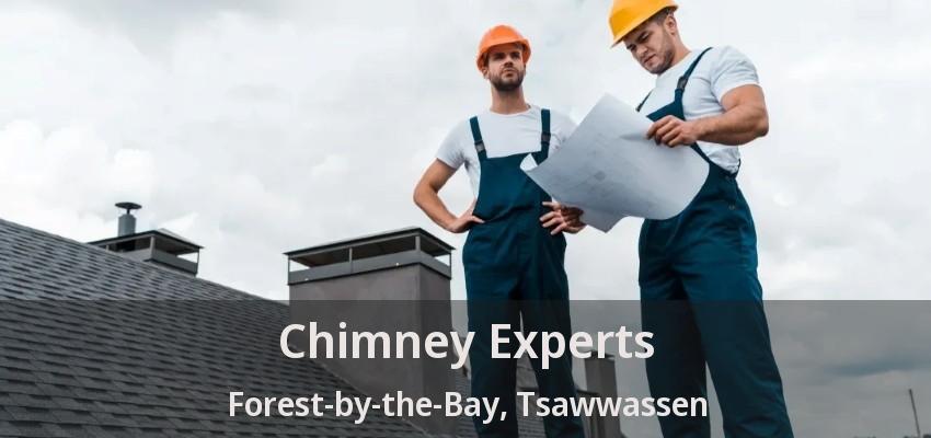 Chimney Experts Forest-by-the-Bay, Tsawwassen - BC