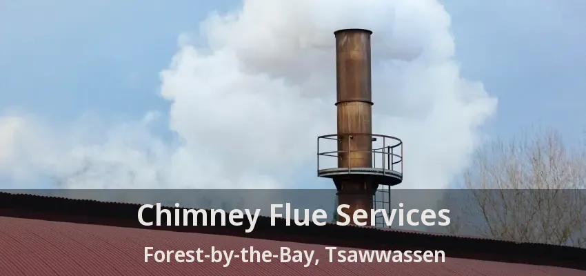 Chimney Flue Services Forest-by-the-Bay, Tsawwassen - BC