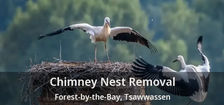 Chimney Nest Removal Forest-by-the-Bay, Tsawwassen - BC