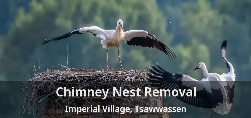 Chimney Nest Removal Imperial Village, Tsawwassen - BC