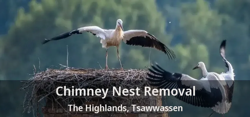 Chimney Nest Removal The Highlands, Tsawwassen - BC