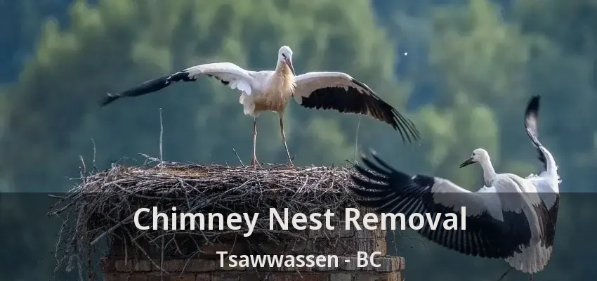 Chimney Nest Removal Tsawwassen - BC