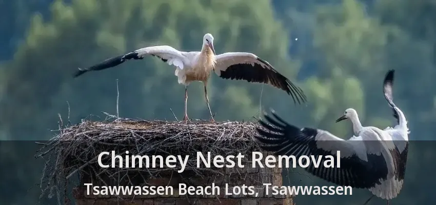 Chimney Nest Removal Tsawwassen Beach Lots, Tsawwassen - BC