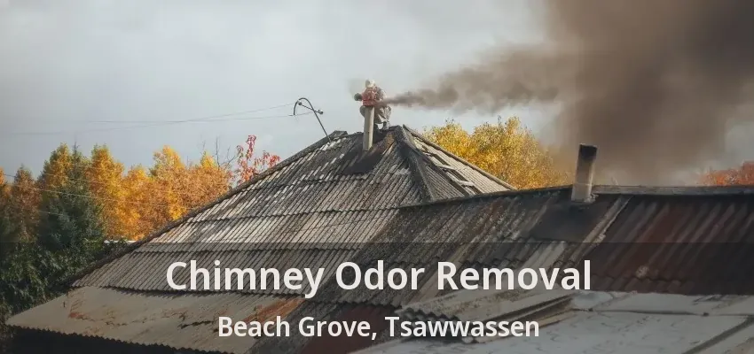 Chimney Odor Removal Beach Grove, Tsawwassen - BC