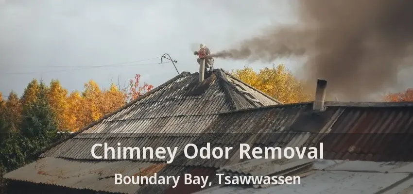 Chimney Odor Removal Boundary Bay, Tsawwassen - BC
