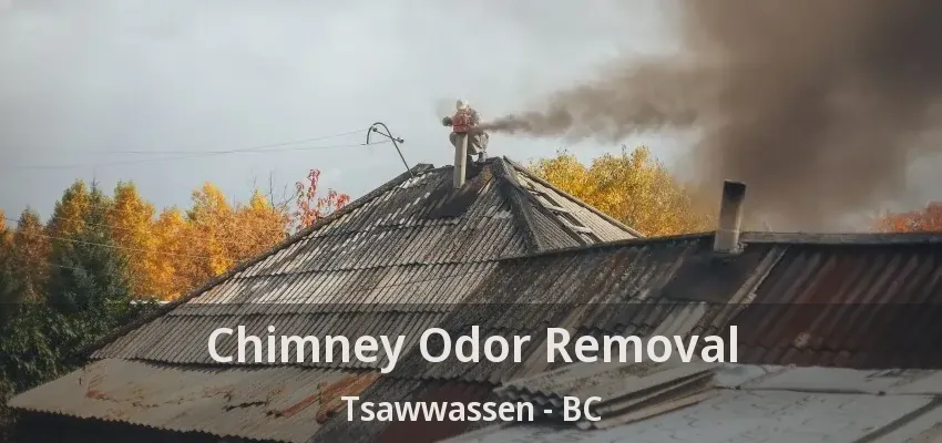 Chimney Odor Removal Tsawwassen - BC