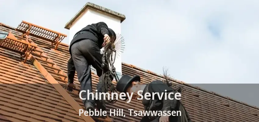 Chimney Service Pebble Hill, Tsawwassen - BC