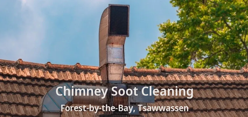 Chimney Soot Cleaning Forest-by-the-Bay, Tsawwassen - BC