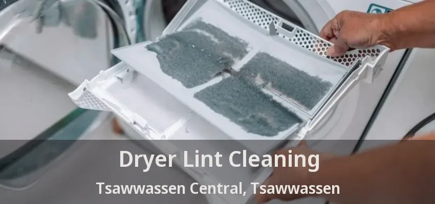 Dryer Lint Cleaning Tsawwassen Central, Tsawwassen - BC