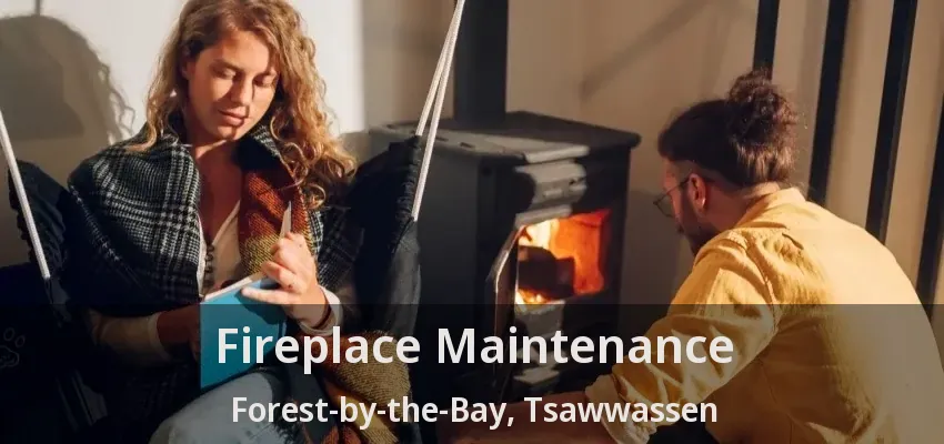 Fireplace Maintenance Forest-by-the-Bay, Tsawwassen - BC