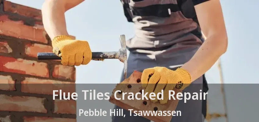 Flue Tiles Cracked Repair Pebble Hill, Tsawwassen - BC