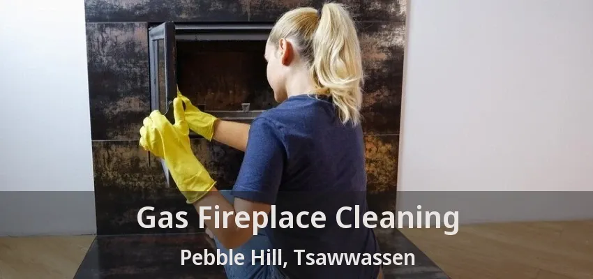 Gas Fireplace Cleaning Pebble Hill, Tsawwassen - BC