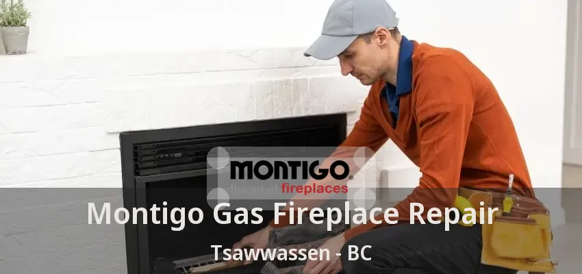 Montigo Gas Fireplace Repair Tsawwassen - BC