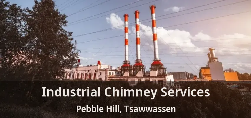 Industrial Chimney Services Pebble Hill, Tsawwassen - BC