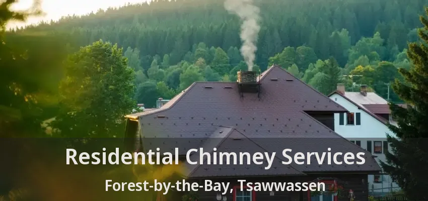 Residential Chimney Services Forest-by-the-Bay, Tsawwassen - BC