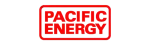 Pacific Energy Regency Fireplace Repair in Tsawwassen